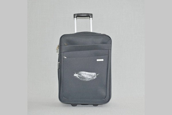 Carry-on suitcase 0042-1 20"
