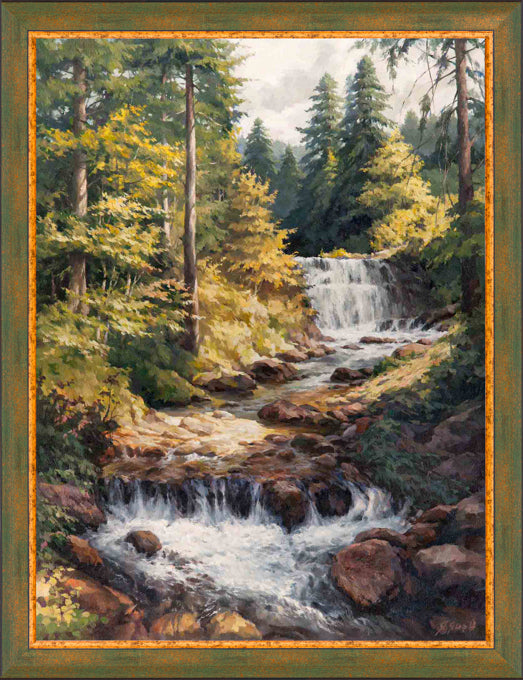 Code: 339 Landscape forest stream Tsarska Bistrica