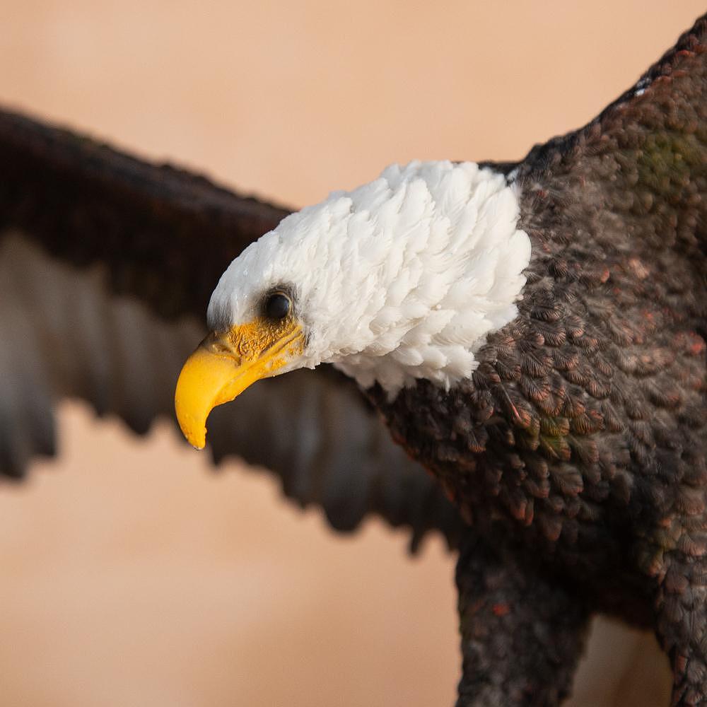 81033799 Decorative statuette - Eagle in flight over rocks