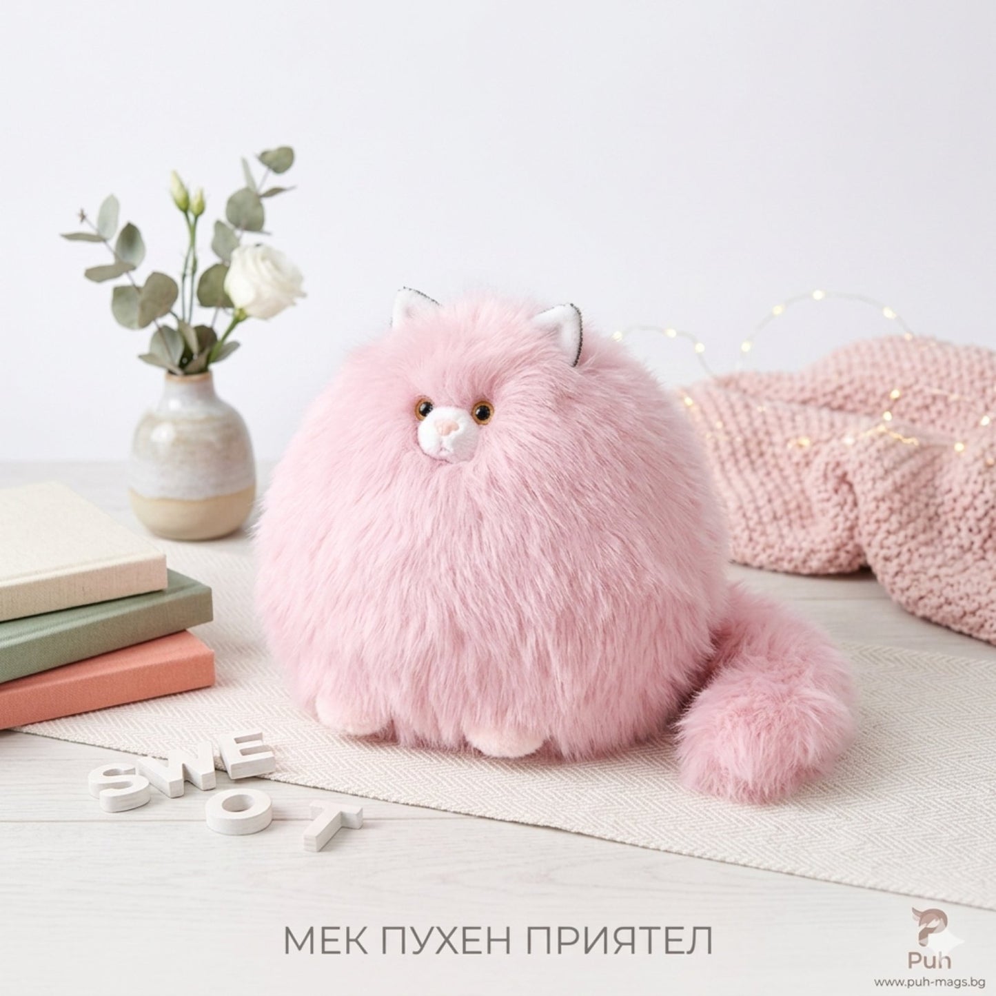 041222 Пухкава котка