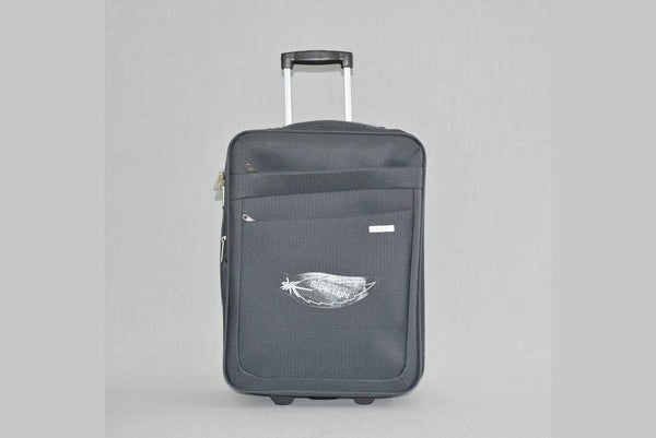 Куфар за ръчен багаж 0042-1 20"