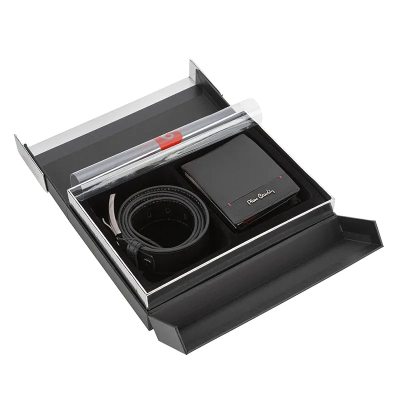 PCS123XX: Мъжки комплект портфейл и колан Pierre Cardin - 130 см